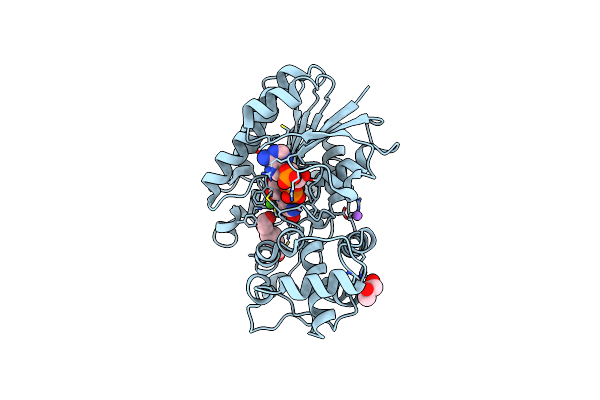 5MLH image