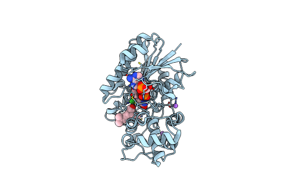 5MLR image