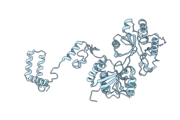 5MLT image