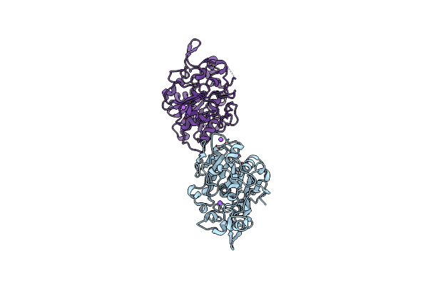 5MLX image