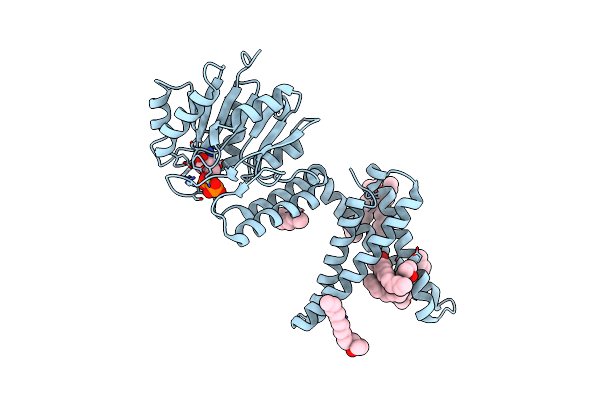 5MLZ image