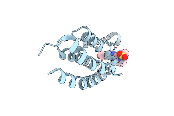 5MMG image