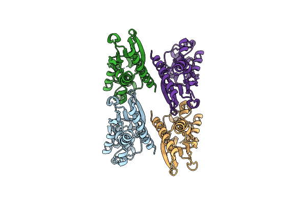 5MMH image