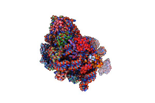 5MMJ image