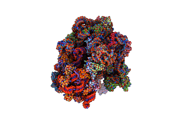 5MMM image