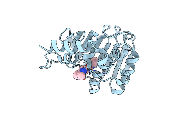 5MMN image
