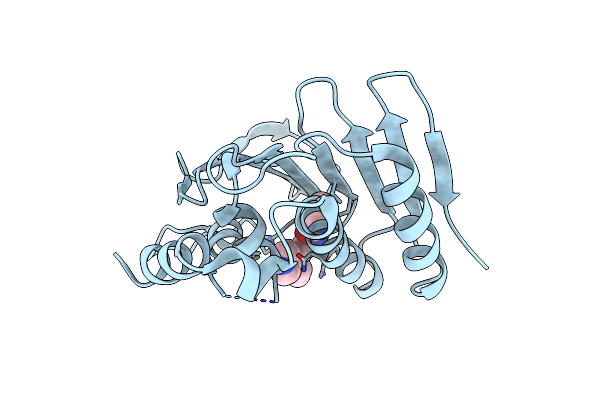 5MMP image
