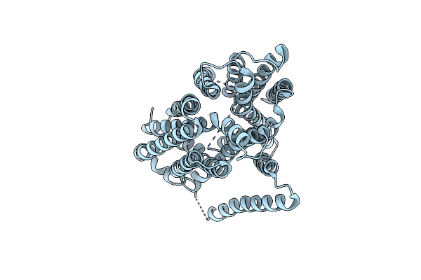 5MMT image