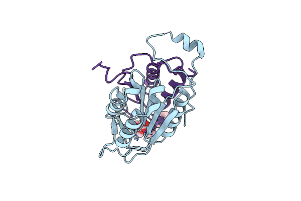 5MMV image