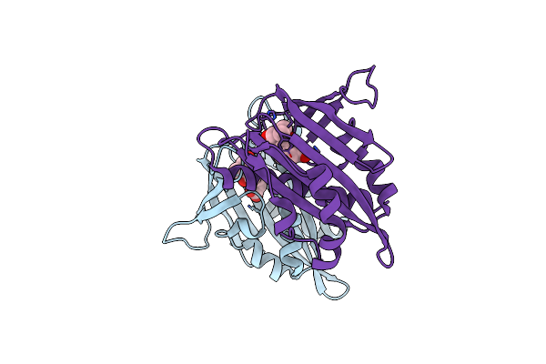 5MMX image
