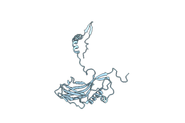 5MND image