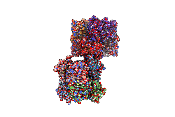 5MNI image