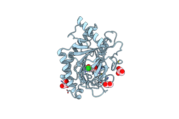 5MOF image