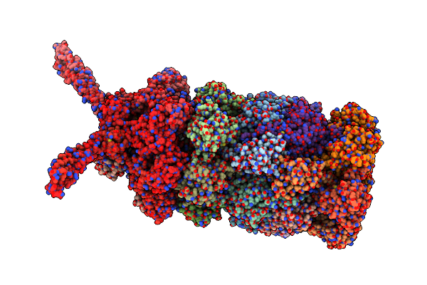 5MPA image