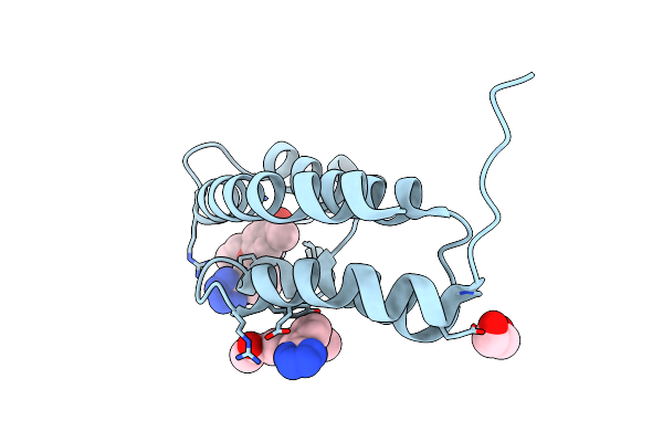 5MPN image