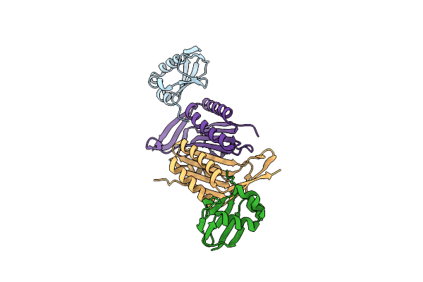 5MPO image