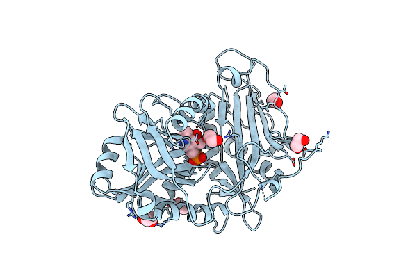 5MPR image