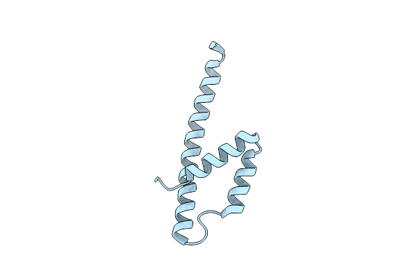 5MPV image