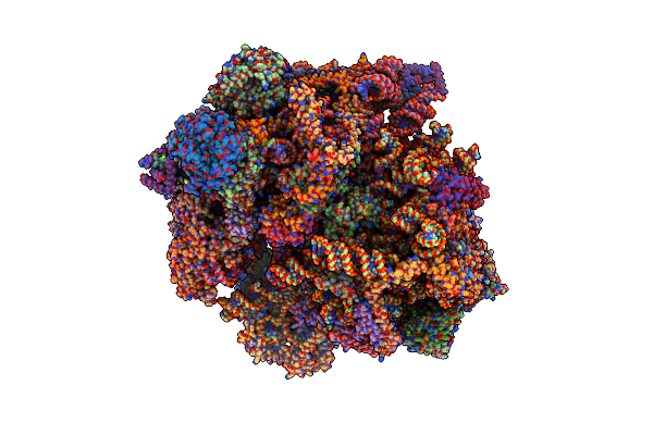 5MRC image