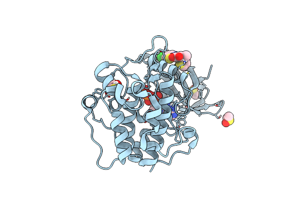 5MRD image