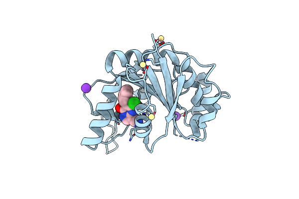 5MRP image