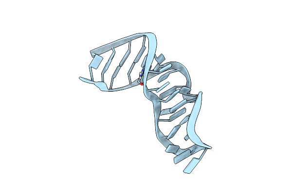 5MRX image