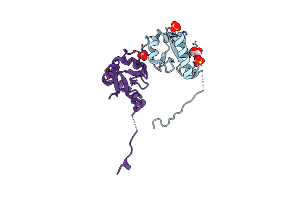 5MS5 image