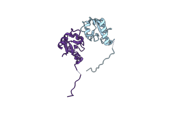 5MS6 image