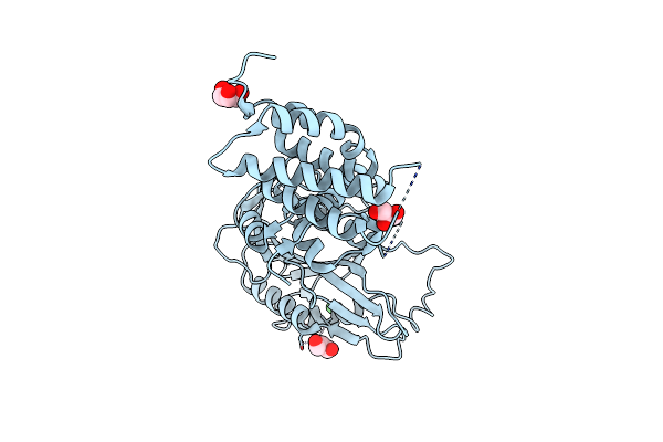 5MS7 image