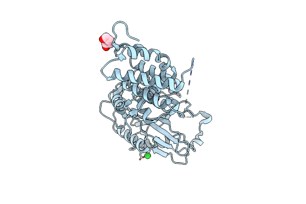 5MS8 image