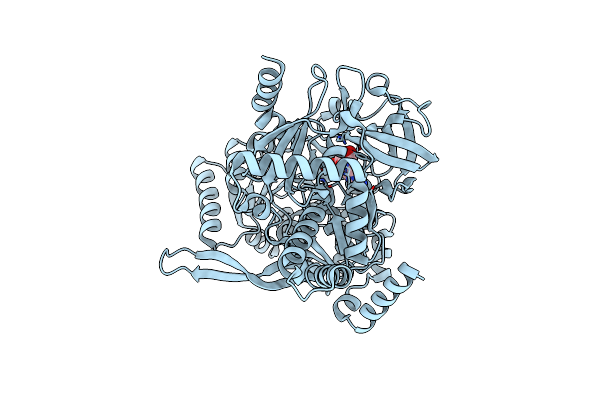 5MSC image