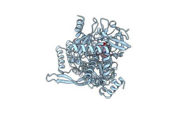 5MSD image