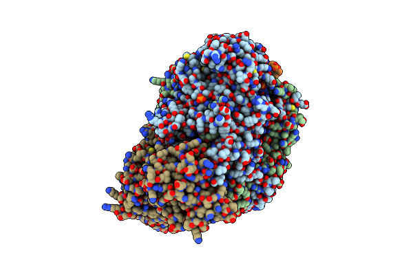 5MSG image