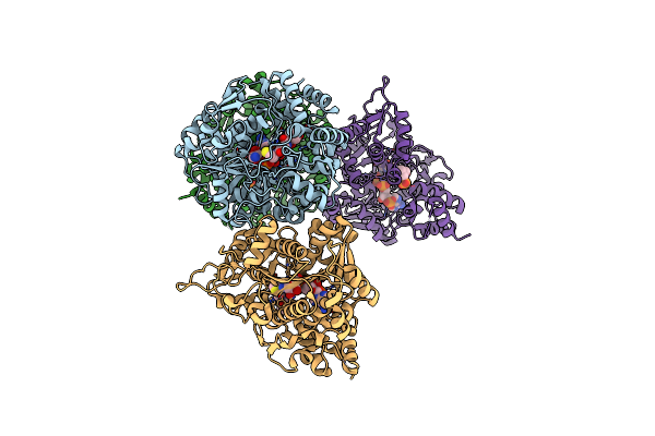 5MSV image