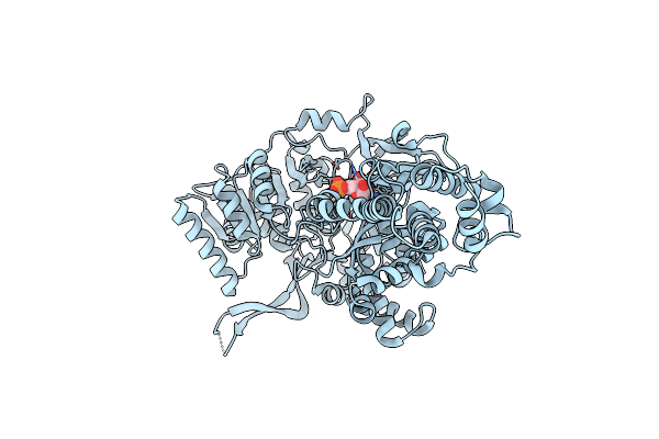 5MSW image