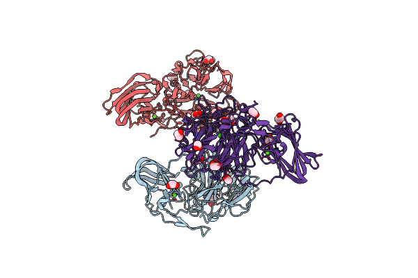 5MSX image