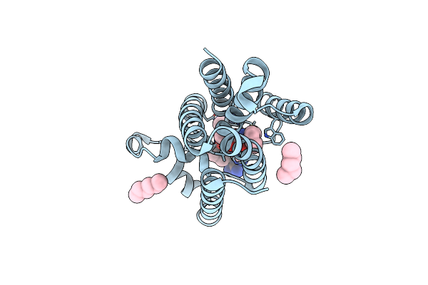 5MT6 image