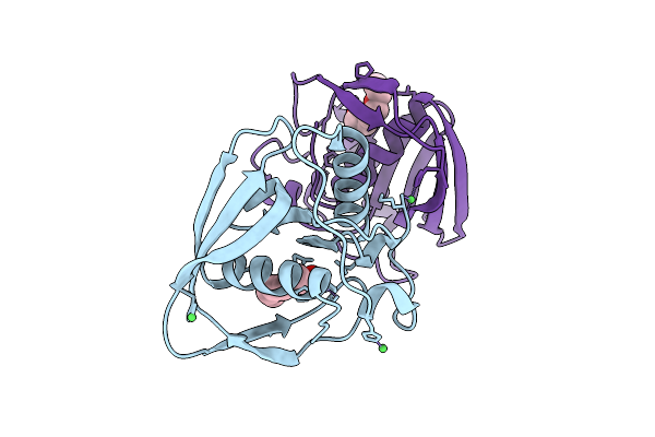 5MTD image