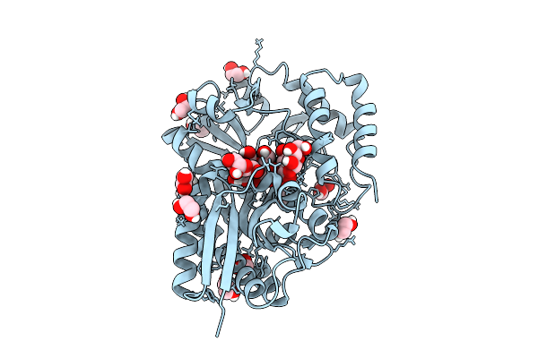 5MTT image