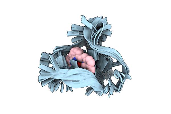 5MVB image