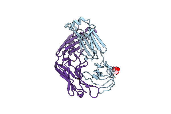 5MVG image