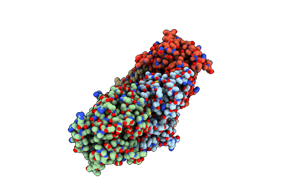 5MVI image