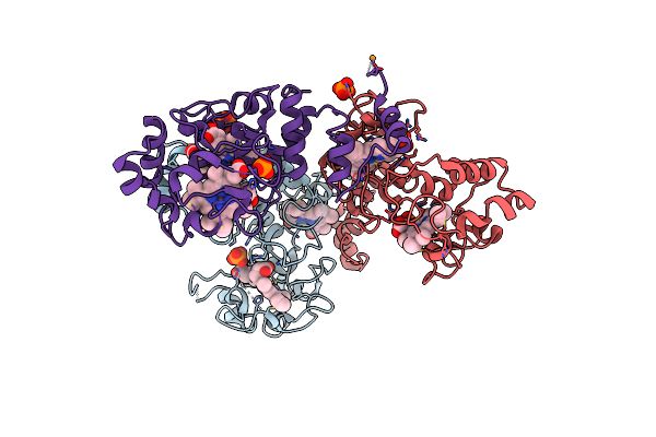 5MVO image