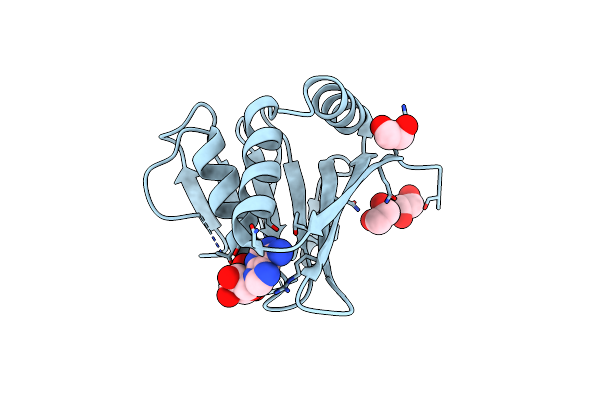 5MVR image
