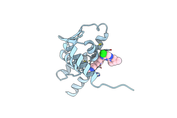 5MW2 image