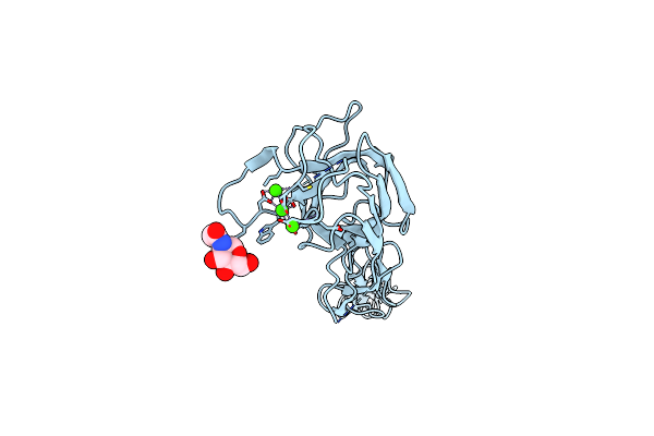 5MW5 image
