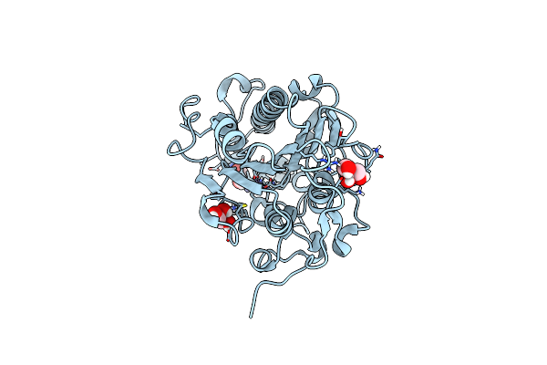 5MX9 image