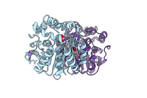 5MXP image