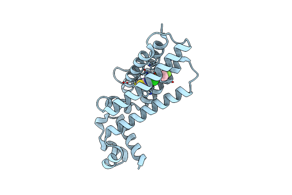 5MXV image