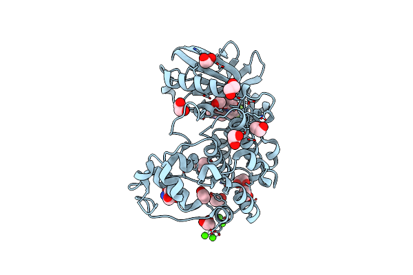 5MXX image